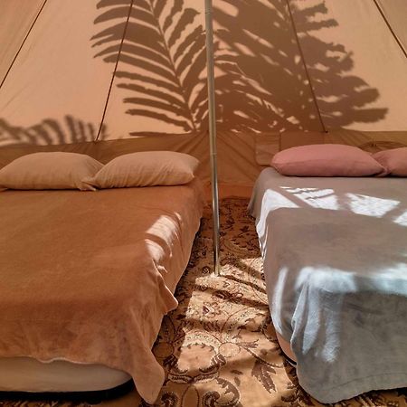 下博克特 Agartha Mountain Retreat旅舍 外观 照片